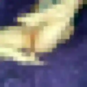 Photo sexy de Naomi, 43 ans à Aigues-Mortes - plan discret