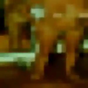 Photo privée de Cecile, 27 ans à Alençon - plan discret