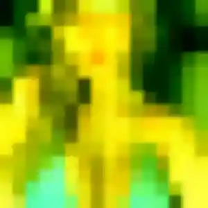 Photo perso de Mylene, 37 ans à Alençon - plan discret