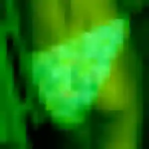 Gwendoline, 43 ans, cherche un rencontre plan cul à Amnéville