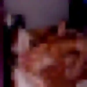 Morgane, femme de 19 ans propose rencontre plan cul à Anse