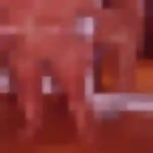 Rencontre Sara, 38 ans à Armentières en t'inscrivant