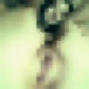 Elodie, fille de 25 ans cherche rencontre plan cul à Arnage