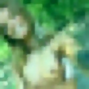 Rosemarie, fille de 40 ans propose rencontre plan cul à Aubergenville