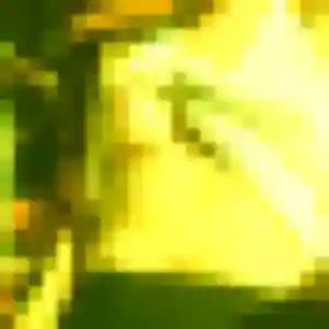 Raphaelle, fille de 21 ans propose rencontre plan cul à Aubigny-Les Clouzeaux