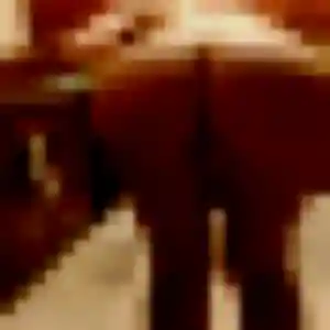 Yannick, fille de 37 ans veut rencontre plan cul à Auch