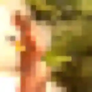 Photo exclusive de Madeleine, 34 ans à Aulnoye-Aymeries - rencontre sans lendemain