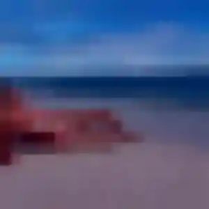 Rencontre Clementine, 28 ans à Aurec-sur-Loire en t'inscrivant