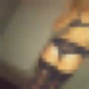 Augustine (24 ans) à Avrillé cherche un rencontre plan cul ce soir