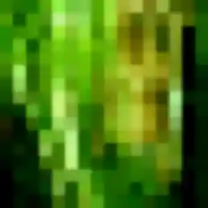 Agnes, 43 ans, en ligne à Bailleul pour une rencontre coquine