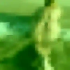 Sexy Elvire, 27 ans à Bailleul - la contacter