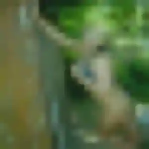 Photo de Nolwenn à Baisieux (45 ans) - rencontre plan cul anonyme