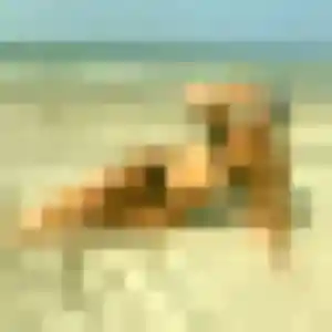 Marie-Line, 42 ans, dispo pour rencontre plan cul à Bandrele