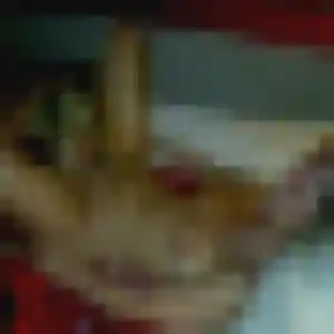 Belle Lily, 20 ans à Beaune - découvrir son profil