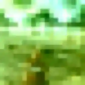 rencontre plan cul à Beaune : photo de Melanie, 35 ans - accès libre