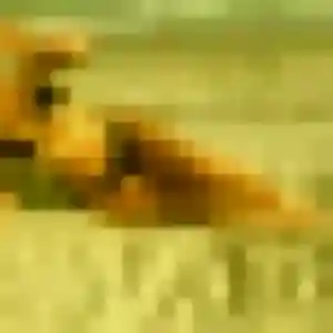 rencontre plan cul à Beausoleil : photo de Erika, 21 ans - accès libre