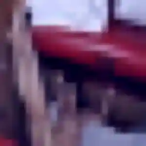 Romina, 35 ans, veut un rencontre plan cul à Belin-Béliet