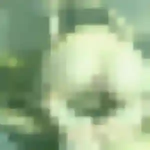 Muriel, 38 ans, en ligne à Bellegarde pour un rencontre plan cul