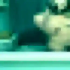 Sexy Olga, 36 ans à Bellegarde - voir sa photo