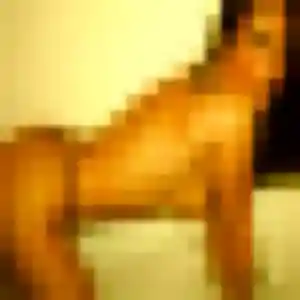 Contacte Natacha, 44 ans à Bellerive-sur-Allier en privé