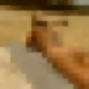 Noemie, femme de 40 ans veut rencontre plan cul à Bellerive-sur-Allier