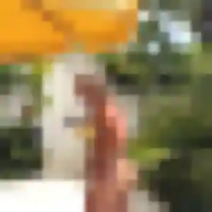 Eleonore, femme de 44 ans veut rencontre plan cul à Billy-Berclau