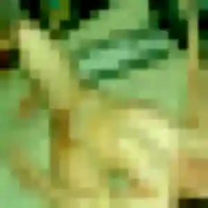 Jean-Marie (22 ans) à Bogny-sur-Meuse attend un rencontre plan cul maintenant