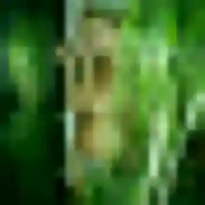 Sexy Wilhelmine, 22 ans à Bonchamp-lès-Laval - découvrir son profil