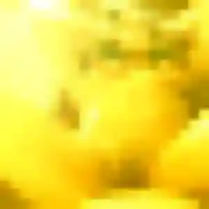 Rejoins Johanna, 19 ans à Bondues en privé