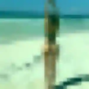 Contacte Olympe, 24 ans à Bondues gratuitement