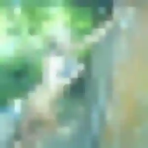 rencontre plan cul à Bormes-les-Mimosas : photo de Patricia, 35 ans - accès libre