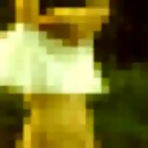 Eva, 37 ans, veut un rencontre plan cul à Bouaye