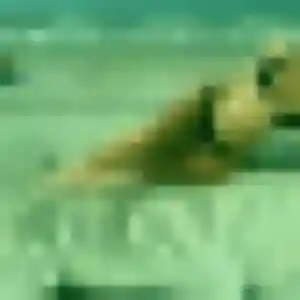 Sabine, 43 ans, dispo pour rencontre plan cul à Bouéni