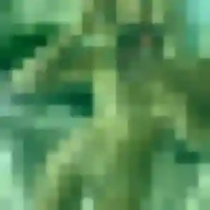 Joana (36 ans) à Brech attend une rencontre maintenant