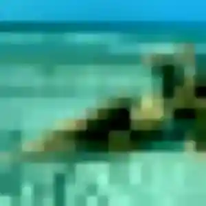 Prisca (43 ans) à Brech attend un rencontre plan cul maintenant