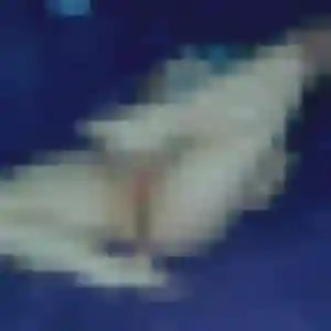 Découvre Elvire, 34 ans à Brest en privé