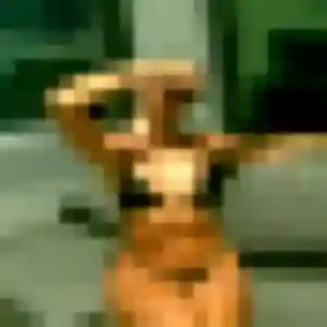 Salima, 31 ans, disponible à Bruguières pour un rencontre plan cul