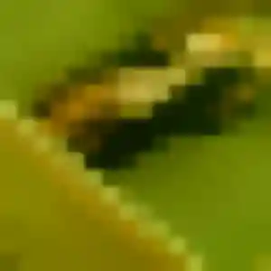 Photo privée de Berengere, 26 ans à Bry-sur-Marne - rencontre sans lendemain