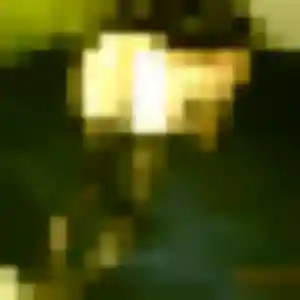 Edith, 19 ans, connectée à Calvisson pour un rencontre plan cul