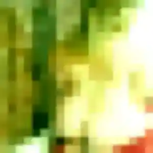 Photo exclusive de Idalina, 19 ans à Castries - rencontre sans lendemain