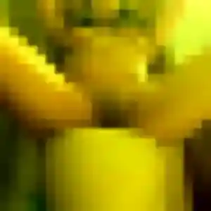 rencontre plan cul à Cazouls-lès-Béziers : photo de Leonore, 27 ans - inscription gratuite