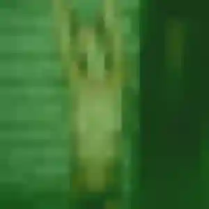 Amel, fille de 44 ans cherche rencontre plan cul à Cébazat