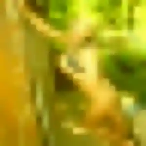 Photo de Brigitte à Cébazat (35 ans) - rencontre plan cul anonyme