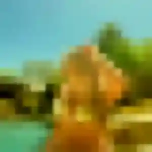 Photo de Melodie à Ceyrat (44 ans) - rencontre plan cul gratuit