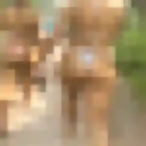 Profil de Eleonore à Châlette-sur-Loing (30 ans) - rencontre plan cul anonyme