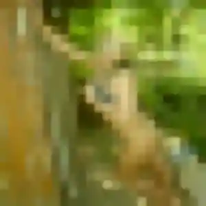 rencontre plan cul à Chalonnes-sur-Loire : profil de Augustine, 44 ans - sans engagement