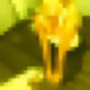 Oumaima, 40 ans, veut un rencontre plan cul à Châlons-en-Champagne