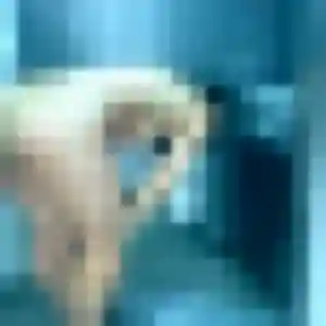 Photo de Priscilla à Chanverrie (39 ans) - rencontre plan cul gratuit