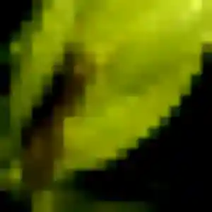 Stephanie (31 ans) à Châteaubourg propose une rencontre aujourd'hui