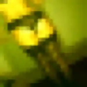 Photo de Elvire à Châtenay-Malabry (28 ans) - rencontre plan cul anonyme